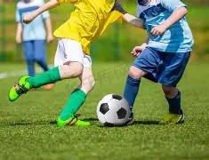 大乐透期号,专家质合分,析推荐,pg游戏官网登录入口,PG电子最新官网,pg游戏官网登录入口,pg电子游戏app