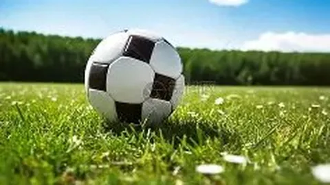 近期太阳队与开拓者未就羅威转会事宜展开谈判