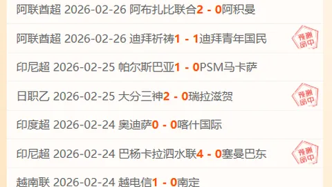 大连英博冲超信念：攀登巅峰，无畏轮回考验