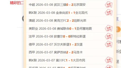 今日私厨推荐：德甲海登海姆对勒沃库森分析