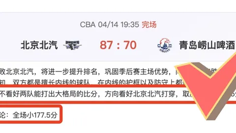 “中足联联合英超豪门，共办青少年足球人才育成论坛盛大启幕！”